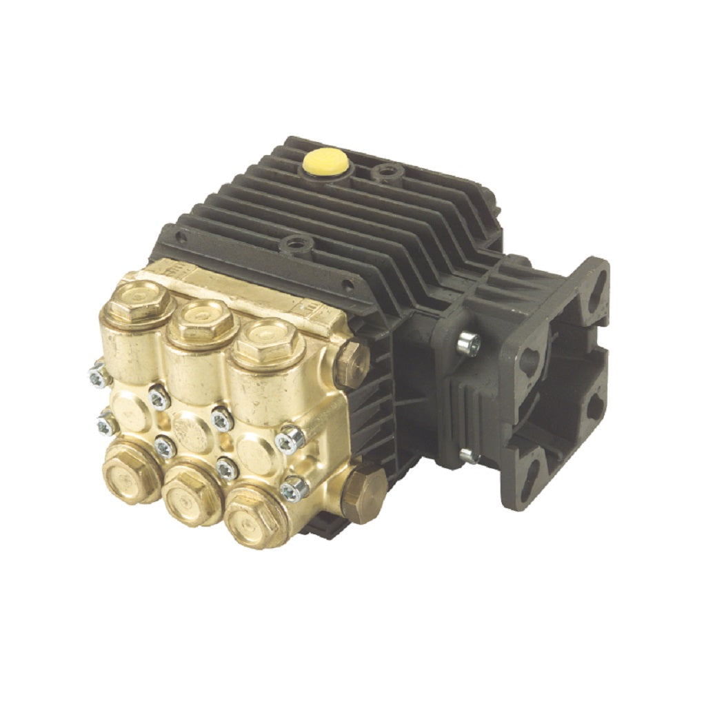 Interpump TT2530 &quot;Série 51&quot; Pompe nue 2500 psi 2,88 gpm pour arbre de moteur à essence 3/4&quot;