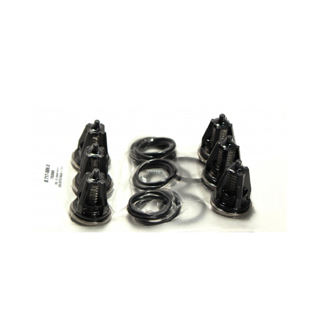 Kits de clapets anti-retour hérités - Hotsy Hawk Landa Karcher Shark